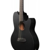 Акустична гітара Ibanez TCY621-BOT