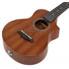 Укулеле Ibanez UEW5E-OPN