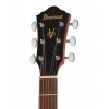 Акустична гітара Ibanez V40CE-OPN