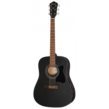 Акустична гітара Ibanez V54NJP-WK Set