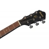 Акустична гітара Ibanez VC44CE-WK