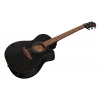 Акустична гітара Ibanez VC44CE-WK