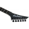 Електрогітара Jackson Pro Plus Christian Andreu RR24
