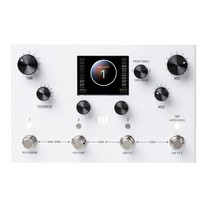 Meris LVX Modular Delay System Delay/Looper