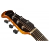 Акустична гітара Ovation Celebrity Elite CE44-RBB-G