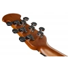 Акустична гітара Ovation Celebrity Elite CE44-RBB-G