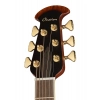 Акустична гітара Ovation Celebrity Elite Deluxe CDX40P