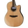 Акустична гітара Ovation Celebrity Tradition CS-24-4-G
