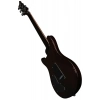 Електрогітара PRS SE DGT Standard Moons MTS