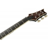 Електрогітара PRS SE Hollowbody II Piezo PBSB