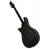 Електрогітара PRS SE Hollowbody Standard Dog HSB