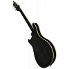 Електрогітара PRS SE Hollowbody Std. Piezo DHSB