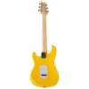 Електрогітара PRS SE Silver Sky Dandy Lion