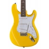 Електрогітара PRS SE Silver Sky Dandy Lion