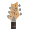 Електрогітара PRS SE Silver Sky Dandy Lion