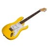 Електрогітара PRS SE Silver Sky Dandy Lion