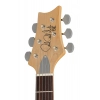Электрогитара PRS SE Silver Sky Laurel Green