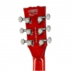 Harley Benton SC-Custom Plus EMG TBF