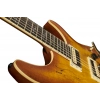 Електрогітара Schecter C-1 Exotic Spalted Maple SNVB