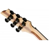 Електрогітара Schecter C-1 Pale Moon SNBB