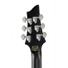Электрогитара Schecter Damien Platinum 6 SBK