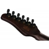 Електрогітара Schecter Danskimo-6 LH