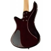 Бас-гитара Schecter Diamond Stiletto Extreme 4 BCH