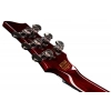 Електрогітара Schecter Hellraiser C-VI BCH