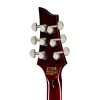 Електрогітара Schecter Hellraiser C-VI BCH