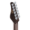 Электрогитара Schecter Nick Johnston 10th An HSS AG