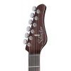 Електрогітара Schecter Nick Johnston 10th An HSS AS
