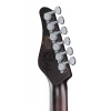Електрогітара Schecter Nick Johnston 10th An HSS AS