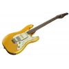 Електрогітара Schecter Nick Johnston 10th An HSS AS