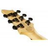 Електрогітара Schecter Omen 6 GBK