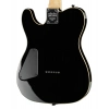Електрогітара Schecter PT BK