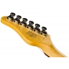 Електрогітара Schecter PT Fastback II B DEG