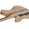Електрогітара Schecter PT SLS Elite Blood Burst