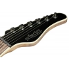 Електрогітара Schecter PT SLS Evil Twin