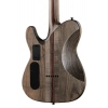 Електрогітара Schecter PT SLS Evil Twin