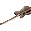 Електрогітара Schecter PT SLS Evil Twin