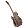 Електрогітара Schecter PT SLS Evil Twin