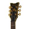 Електрогітара Schecter Solo II Custom ABSN