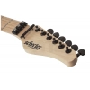 Електрогітара Schecter SVSS PT FR S SFG