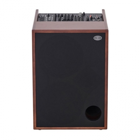 Schertler Roy X Wood Combo 450W Acoustic