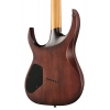 Електрогітара Solar Guitars A1.6FDPB-FF Flame Purple Burst