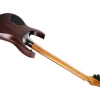Електрогітара Solar Guitars A1.6FDPB-FF Flame Purple Burst