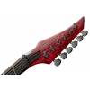 Електрогітара Solar Guitars A2.6Canibalismo+