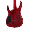Електрогітара Solar Guitars A2.6Canibalismo+