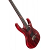 Електрогітара Solar Guitars A2.6Canibalismo+