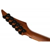 Електрогітара Solar Guitars AB1.6FRMNS Sustainiac+